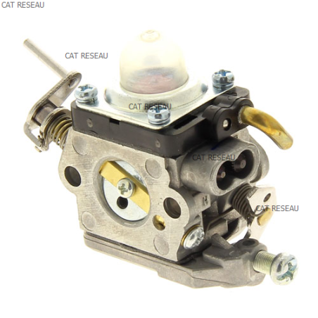CARBURATEUR RUIXING H142A-22 - ref. 581734301 | TP Agri