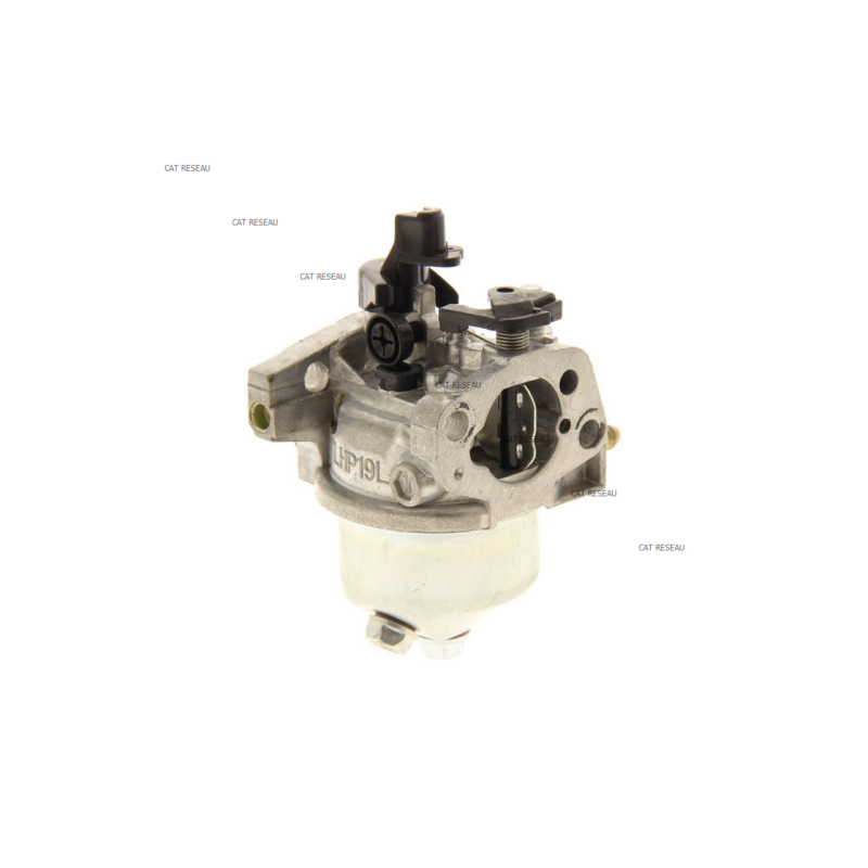 CARBURATEUR SV200 - ref. 1185500770 | TP Agri