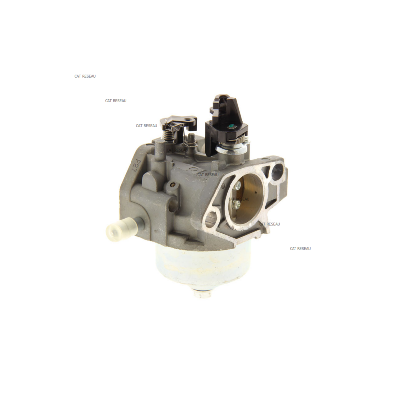 CARBURATEUR - ref. 1185503751 | TP Agri