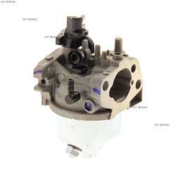 CARBURATEUR RS100 - ref. 1185506970 | TP Agri