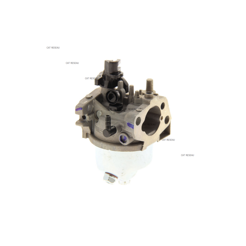 CARBURATEUR RS100 - ref. 1185506970 | TP Agri