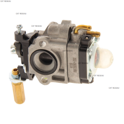 CARBURATEUR - ref. 1230540261 | TP Agri