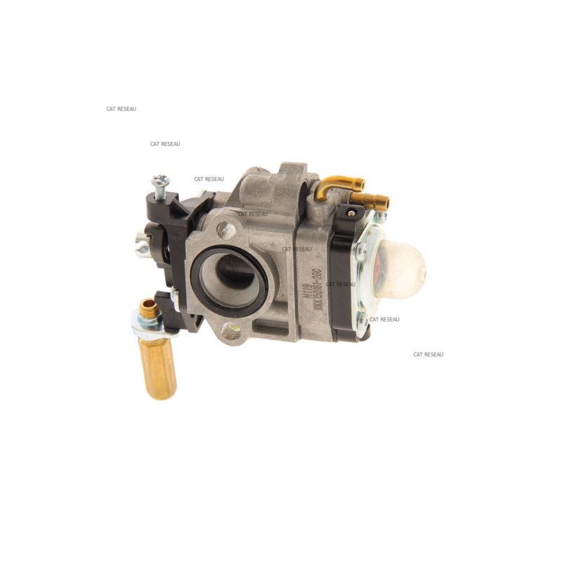 CARBURATEUR - ref. 1230540261 | TP Agri