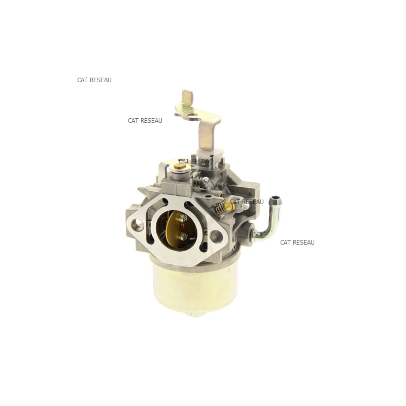 CARBURATEUR EY28D/B - ref. 2346230110 | TP Agri
