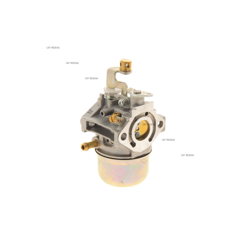 CARBURATEUR EH12-2D MVC - ref. 2526235900 | TP Agri