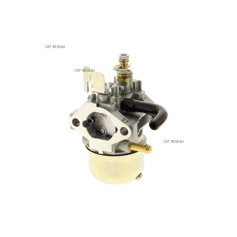 CARBURATEUR MIKASA PILON - ref. 2526253120 | TP Agri