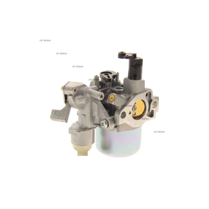CARBURATEUR EX17 - ref. 2776230640 | TP Agri