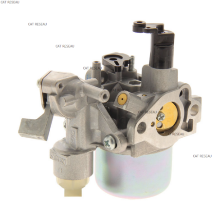 CARBURATEUR EX17 - ref. 2776230640 | TP Agri