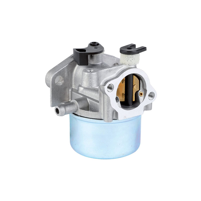 CARBURATEUR COMPATIBLE - ref. 799866BIS | TP Agri