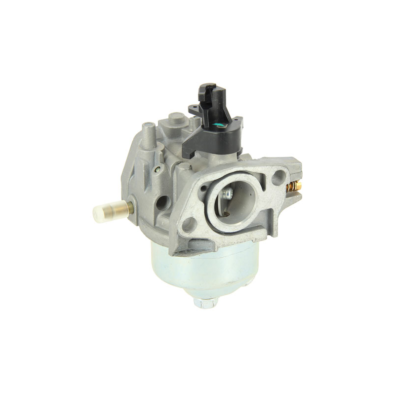 CARBURATEUR HUAYI 1P65F - ref. CLT30100207037 | TP Agri