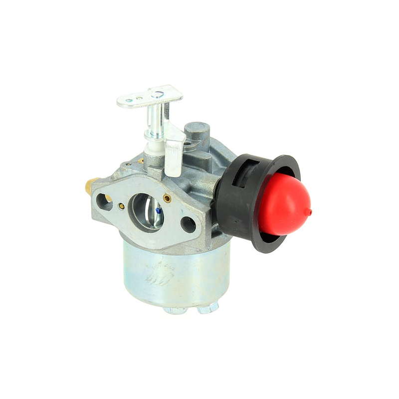 CARBURATEUR AVEC POMPE 1P56FDE - ref. GGY282804 | TP Agri