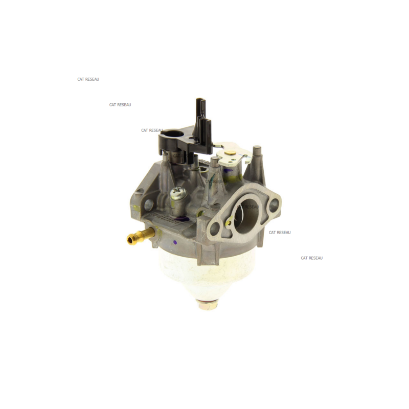 CARBURATEUR - ref. 16100Z0LN21 | TP Agri