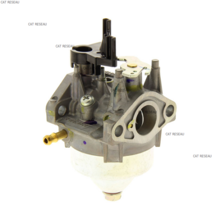 CARBURATEUR - ref. 16100Z0LN21 | TP Agri