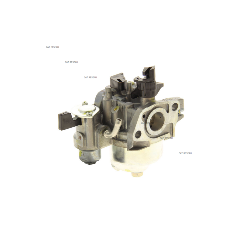 CARBURATEUR (BE60R A - ref. 16100Z0S921 | TP Agri
