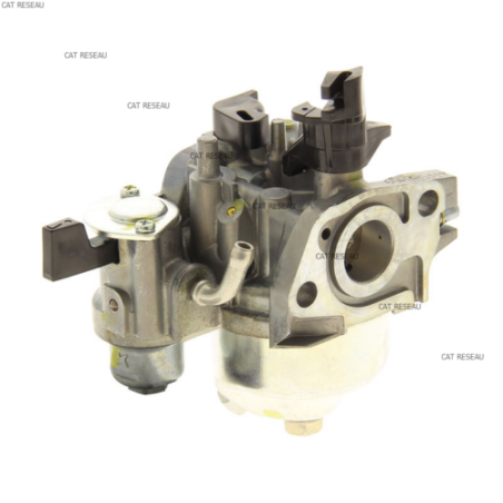 CARBURATEUR (BE60R A - ref. 16100Z0S921 | TP Agri