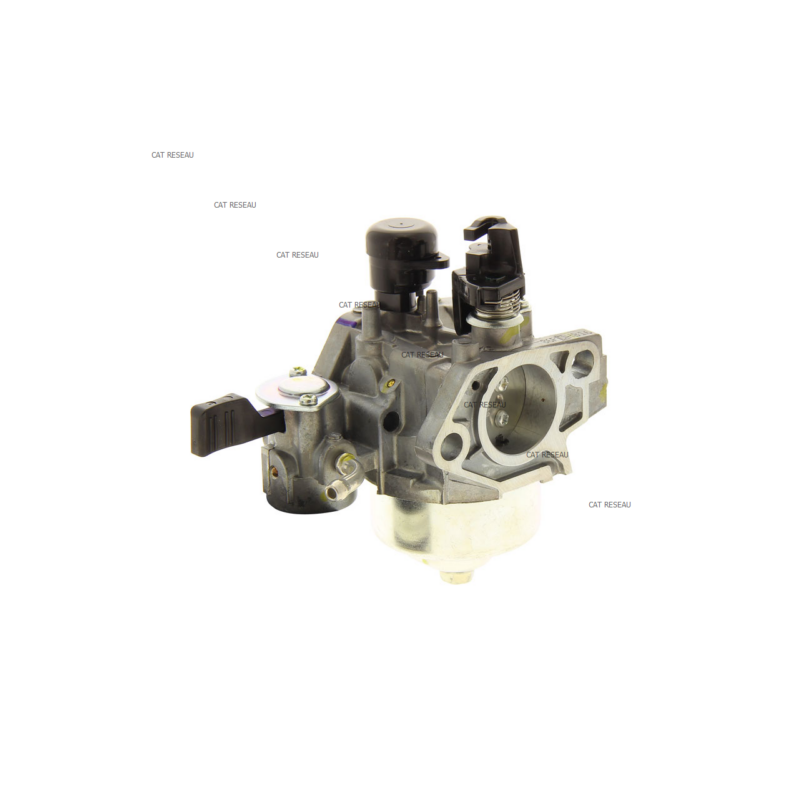 CARBURATEUR - ref. 16100Z1EV23 | TP Agri