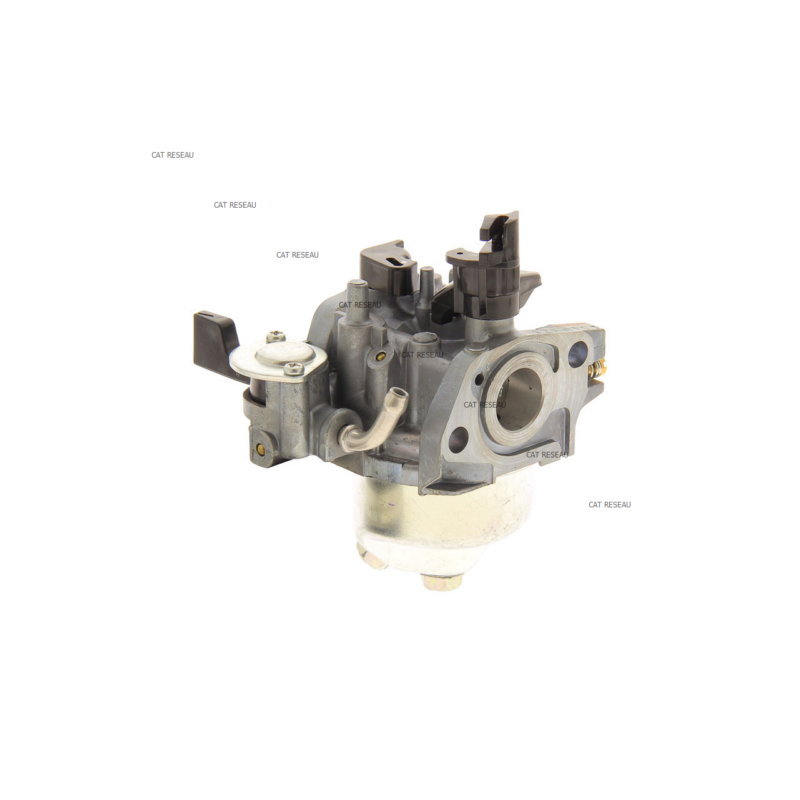 ENS. CARBURATEUR (BE12B C - ref. 16100ZH7812 | TP Agri