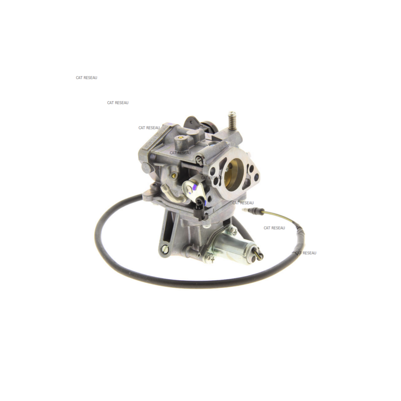 CARBURETOR ASSY ( - ref. 16100ZJ6832 | TP Agri