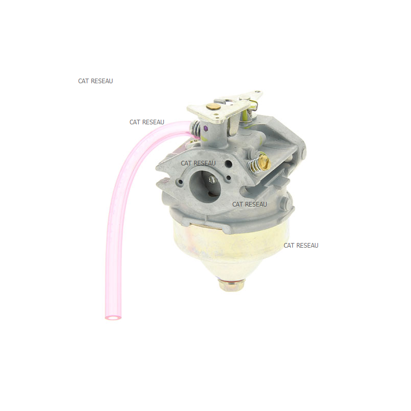 CARBURETOR ASSY ( - ref. 16100ZL1003 | TP Agri
