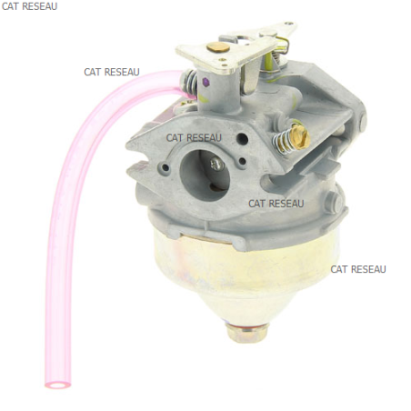 CARBURETOR ASSY ( - ref. 16100ZL1003 | TP Agri