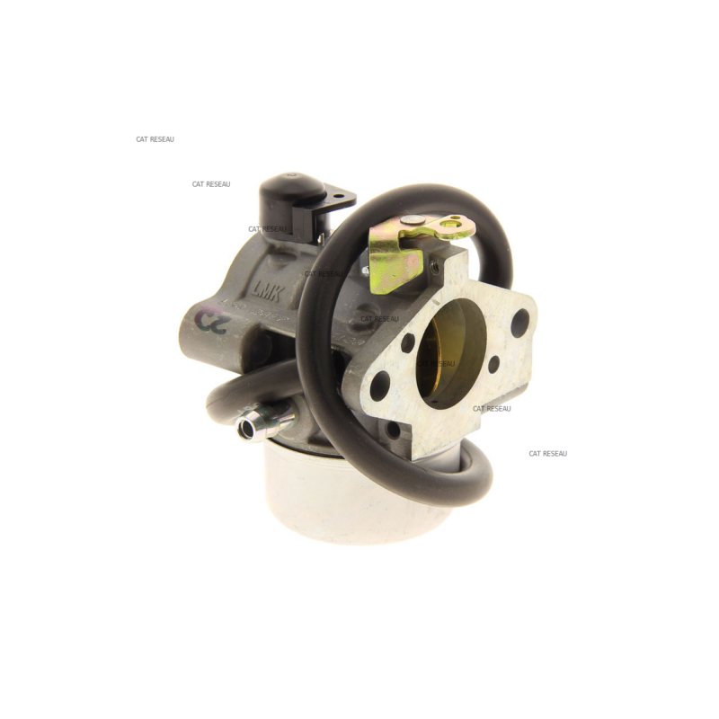 CARBURATEUR - ref. 12853180S | TP Agri