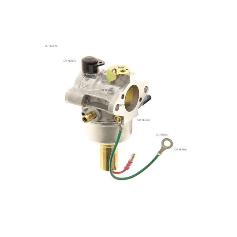 CARBURATEUR - ref. 1285392S | TP Agri