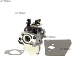 KIT CARBURETOR W/GASKET - ref. 1485355S | TP Agri