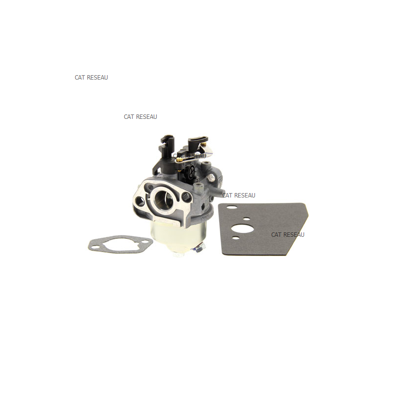KIT CARBURETOR W/GASKET - ref. 1485355S | TP Agri