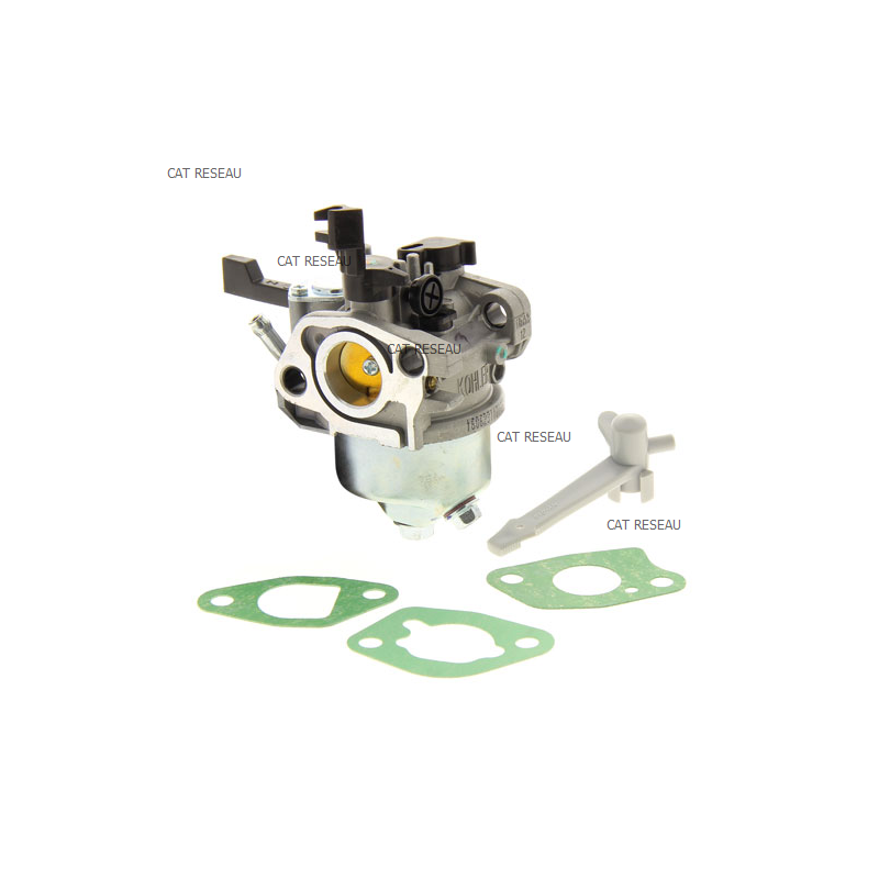 CARBURATEUR SH265 - ref. 1885312S | TP Agri