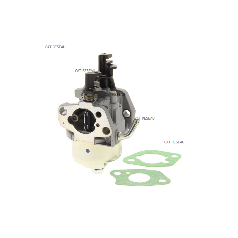 CARBURATEUR RH265 - ref. 1885317S | TP Agri