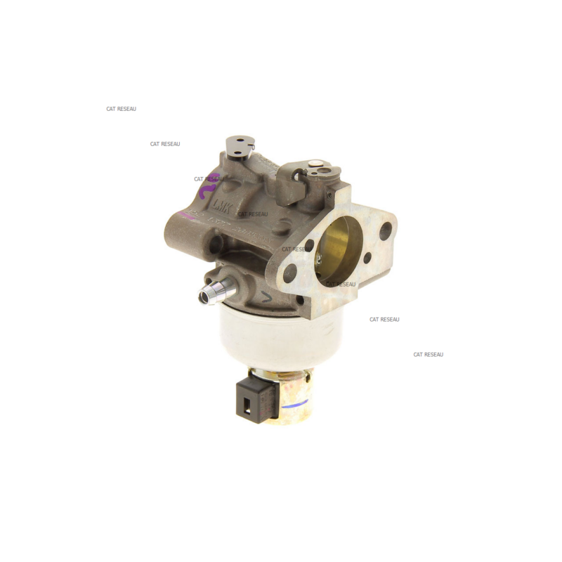 CARBURATEUR SV - ref. 2085333S | TP Agri