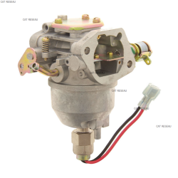 CARBURATEUR - ref. 2885312S | TP Agri
