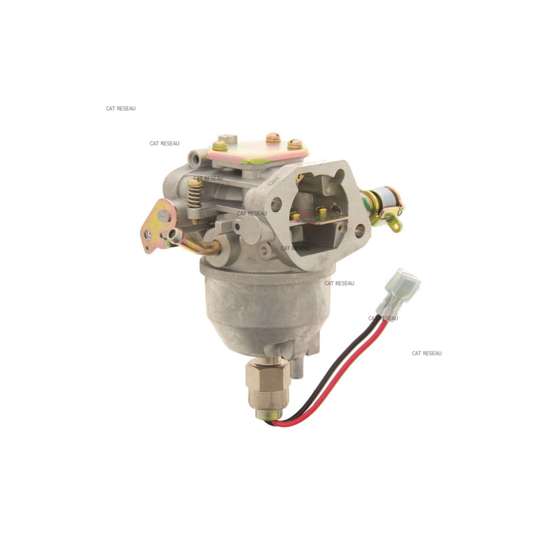 CARBURATEUR - ref. 2885312S | TP Agri