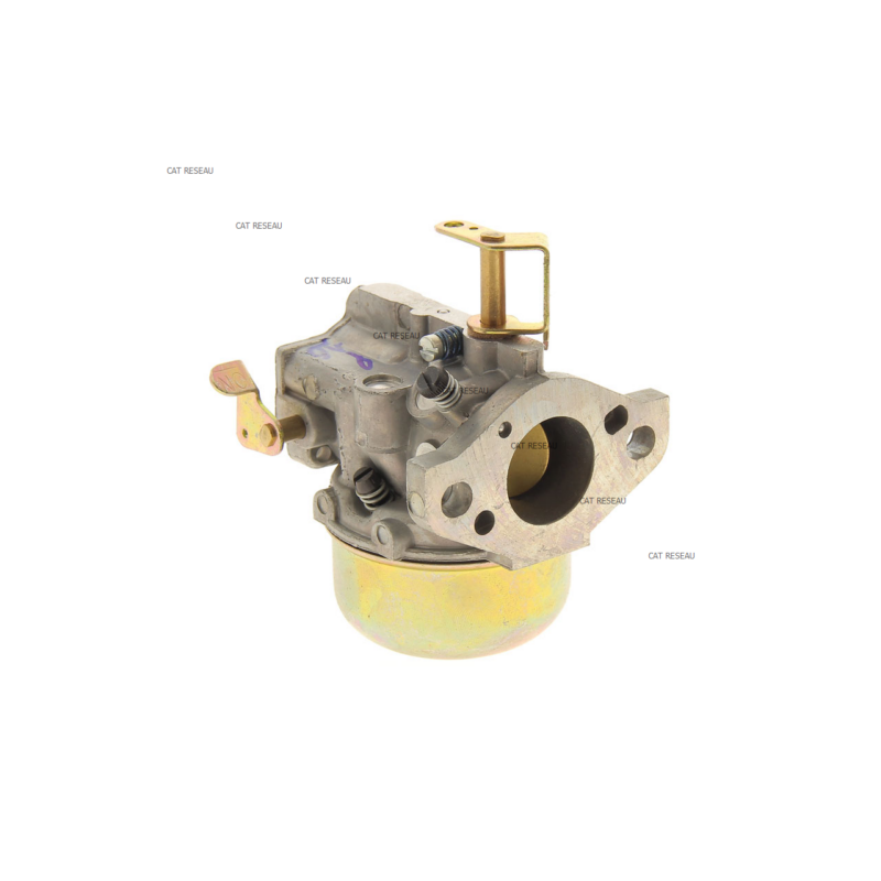 CARBURATEUR - ref. 4785322S | TP Agri