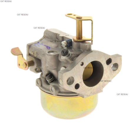 CARBURATEUR - ref. 4785322S | TP Agri