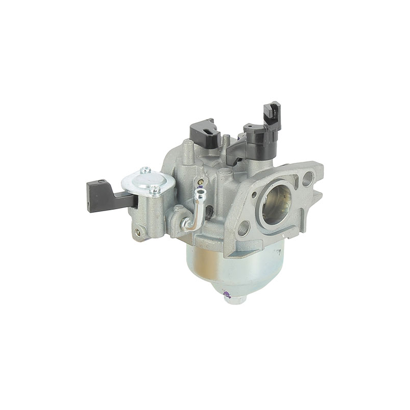 CARBURATEUR COMPLET LC1P75F - ref. LC1700221420001 | TP Agri