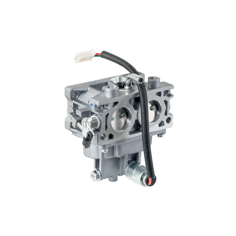 CARBURATEUR 2P76F - ref. LC1700221430002 | TP Agri