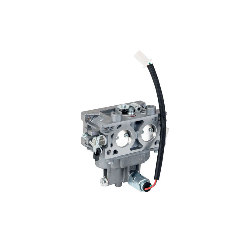 CARBURATEUR 2P73F-A TRE586VA - ref. LC1700221970002 | TP Agri