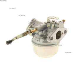 CARBURATEUR - ref. 5806008000 | TP Agri