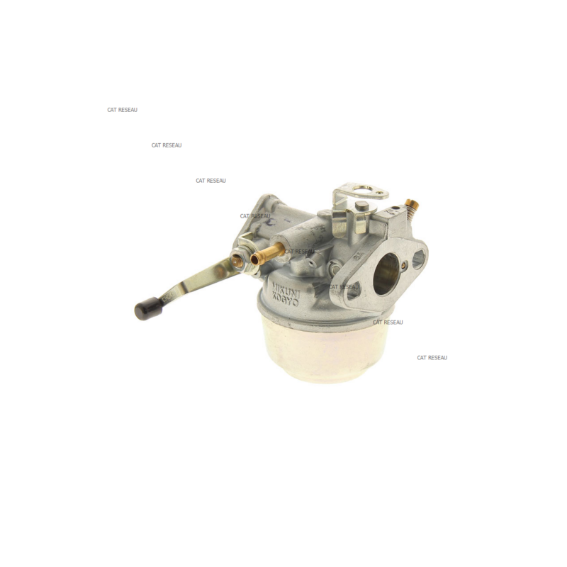 CARBURATEUR - ref. 5806008000 | TP Agri