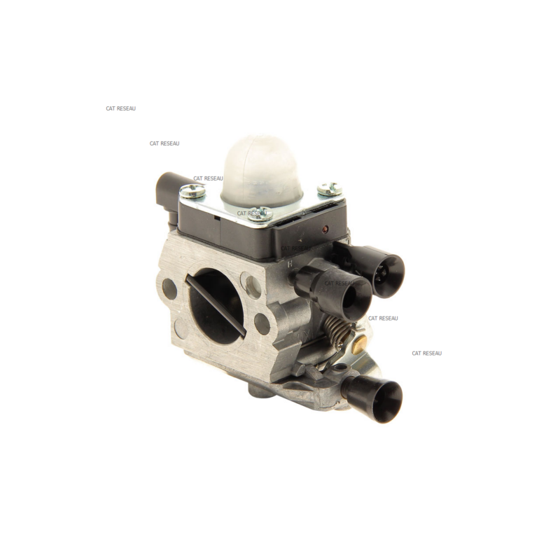 CARBURATEUR C1Q-S 282 - ref. 41401200623 | TP Agri