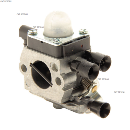CARBURATEUR C1Q-S 282 - ref. 41401200623 | TP Agri