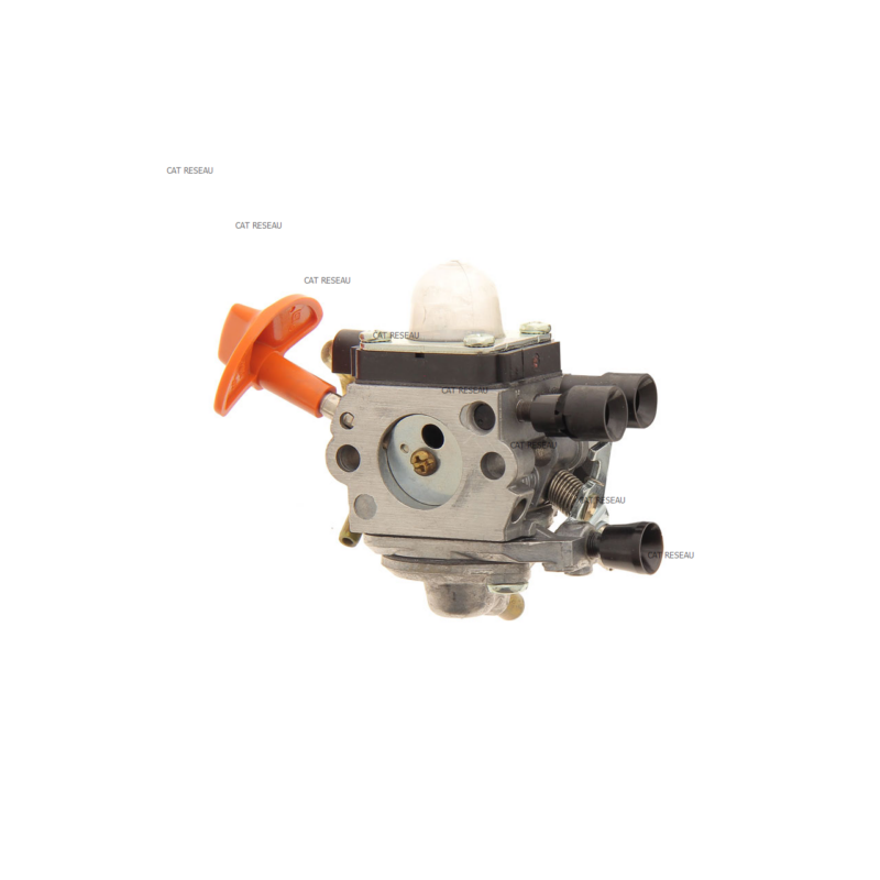 CARBURATEUR C1Q-S110 - ref. 41801200604 | TP Agri