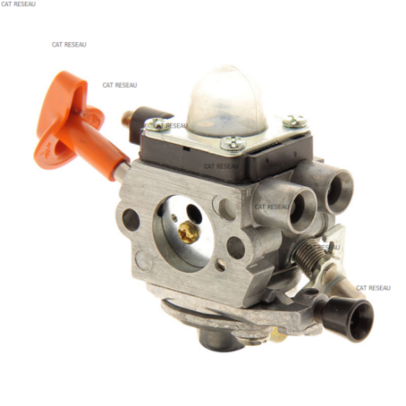 CARBURATEUR C1QS173 - ref. 41801200610 | TP Agri
