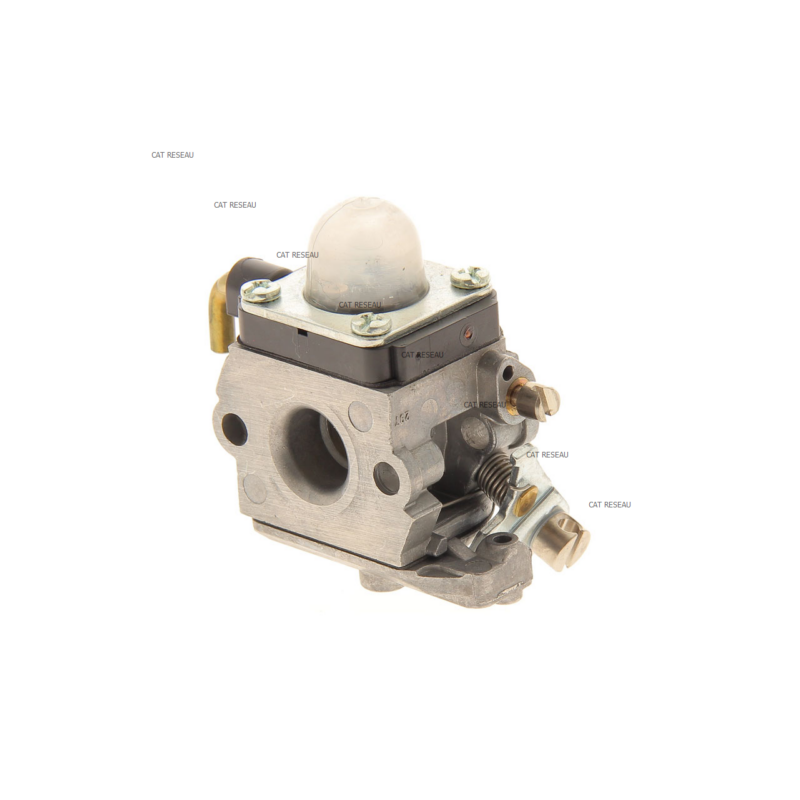 CARBURATEUR C1QS49 - ref. 42281200601 | TP Agri