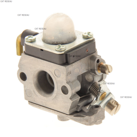 CARBURATEUR C1QS49 - ref. 42281200601 | TP Agri