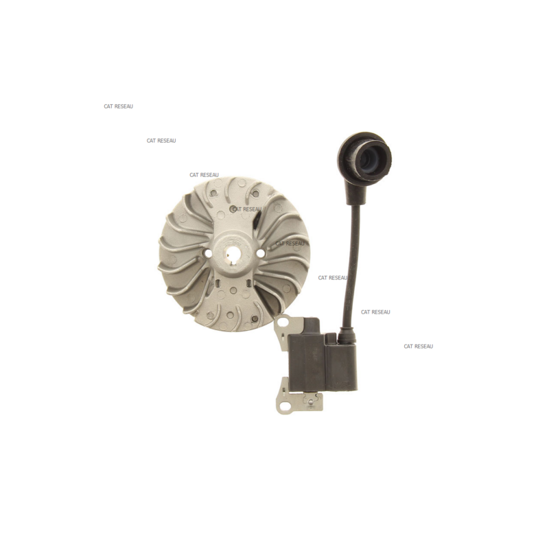 BOBINE D'ALLUMAGE + VOLANT MOTEUR - ref. 412228 | TP Agri