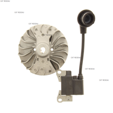 BOBINE D'ALLUMAGE + VOLANT MOTEUR - ref. 412228 | TP Agri