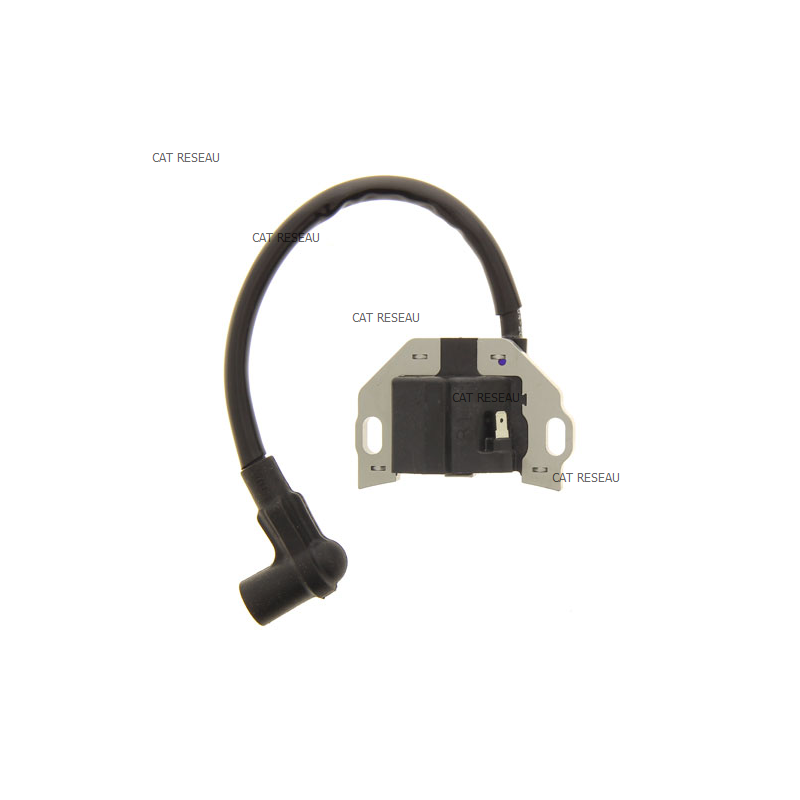 BOBINE ALLUMAGE FR/FX - ref. 211710743 | TP Agri