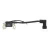 BOBINE ALLUMAGE K605 K655 - ref. L66151551 | TP Agri